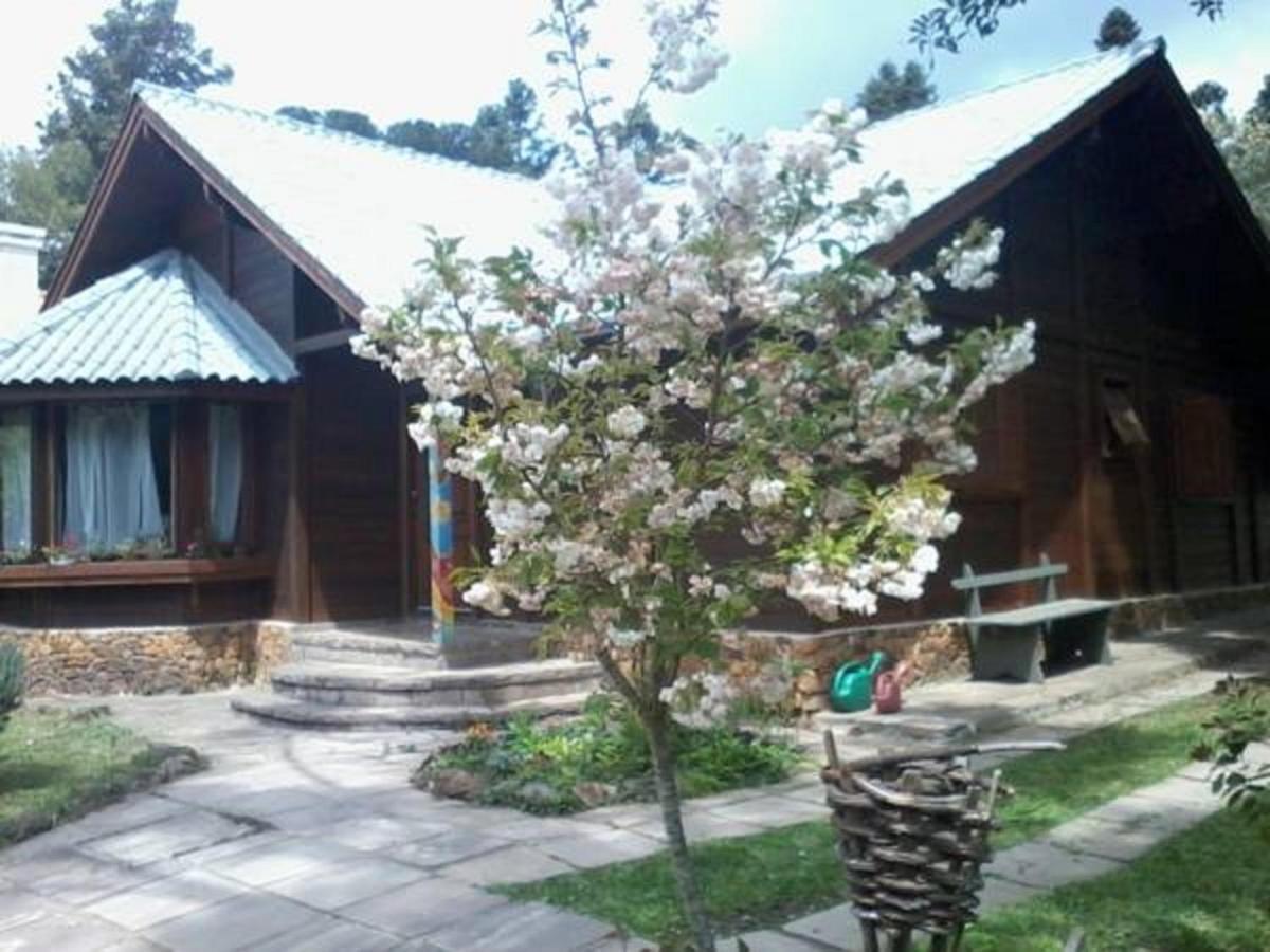 Chale Martinho Villa Gramado Luaran gambar