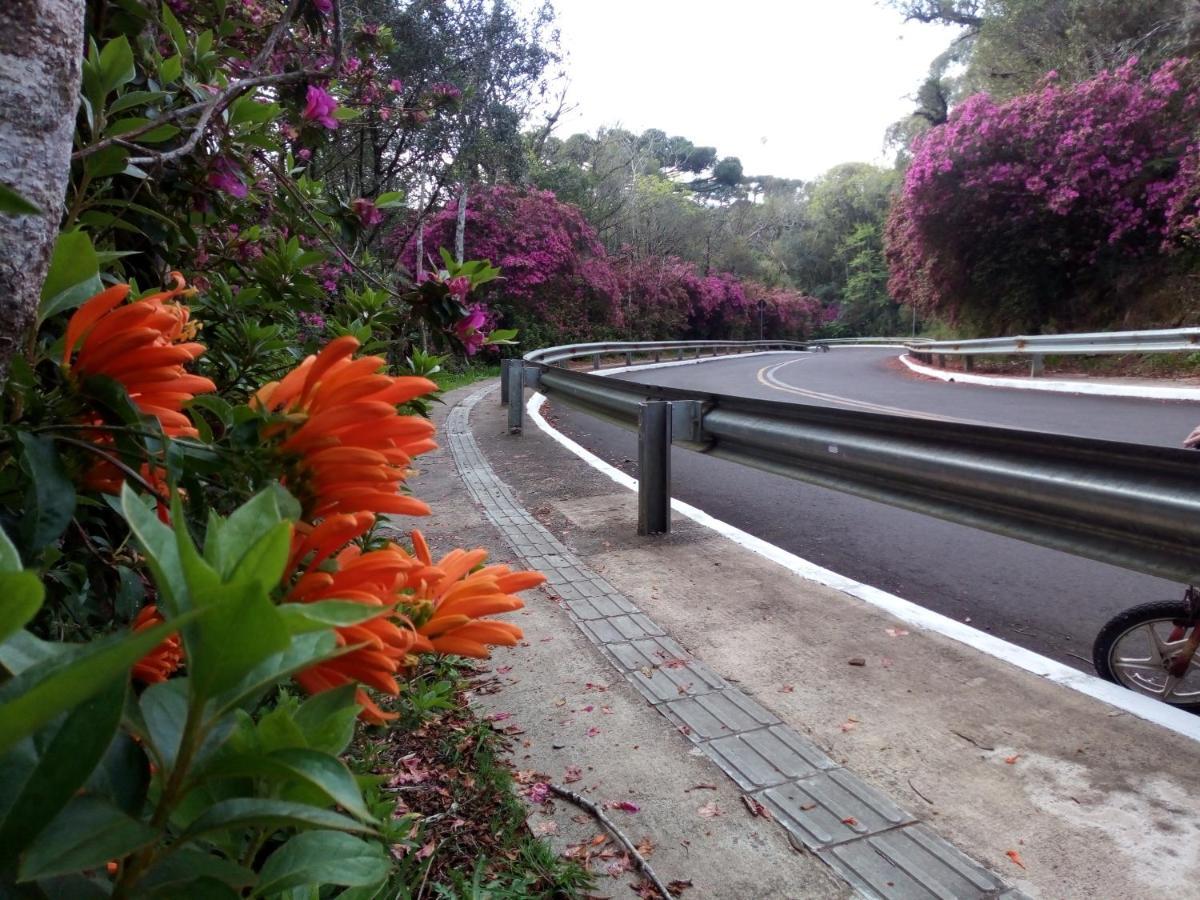 Chale Martinho Villa Gramado Luaran gambar