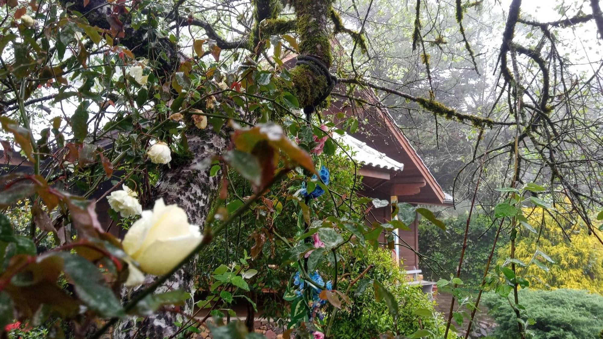 Chale Martinho Villa Gramado Luaran gambar