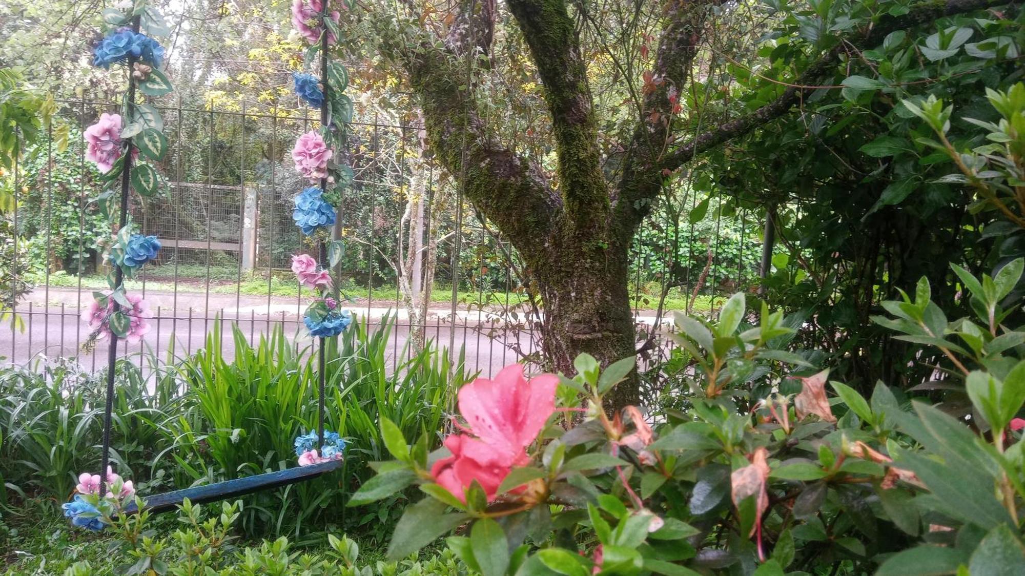 Chale Martinho Villa Gramado Luaran gambar