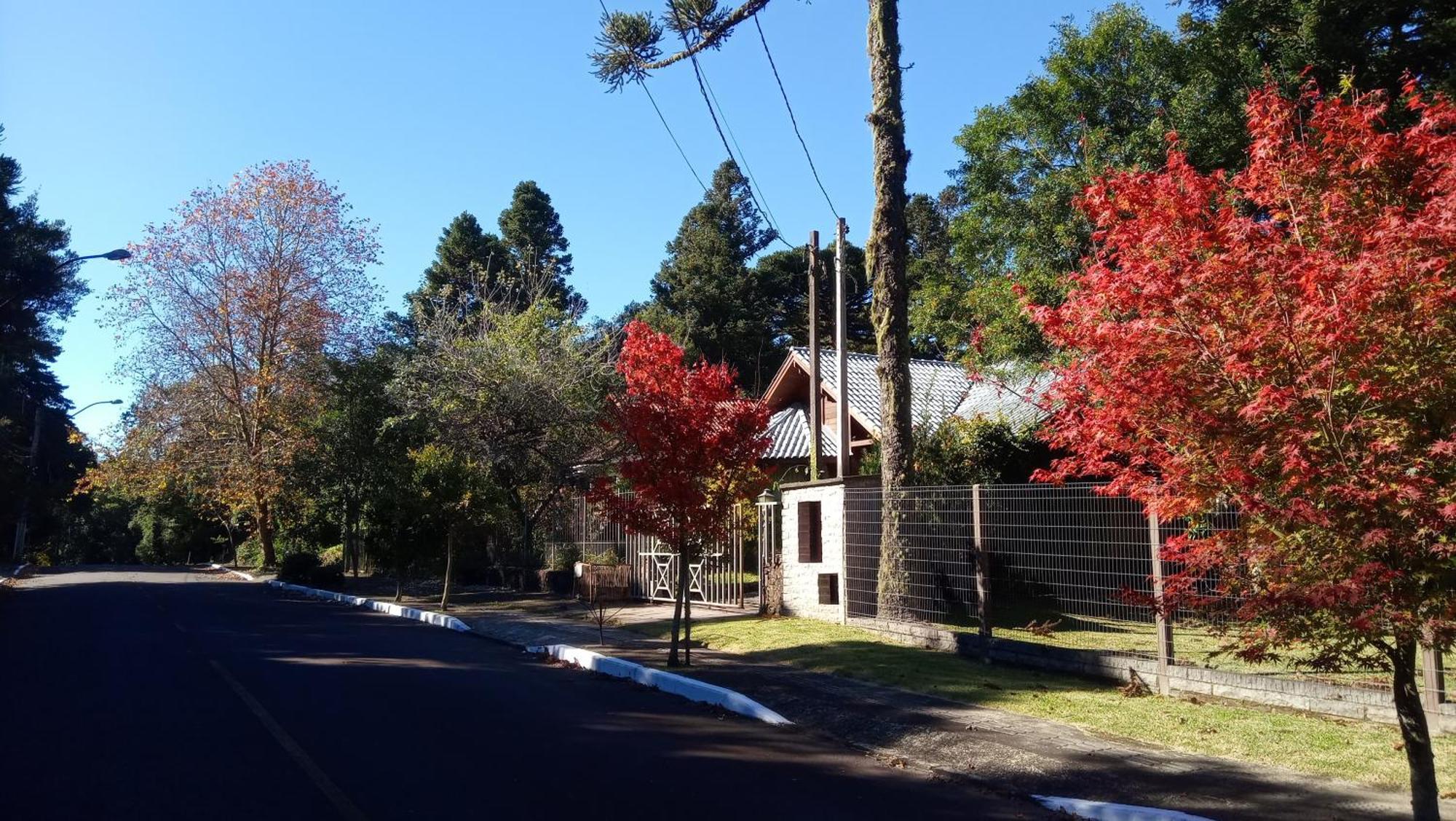 Chale Martinho Villa Gramado Luaran gambar